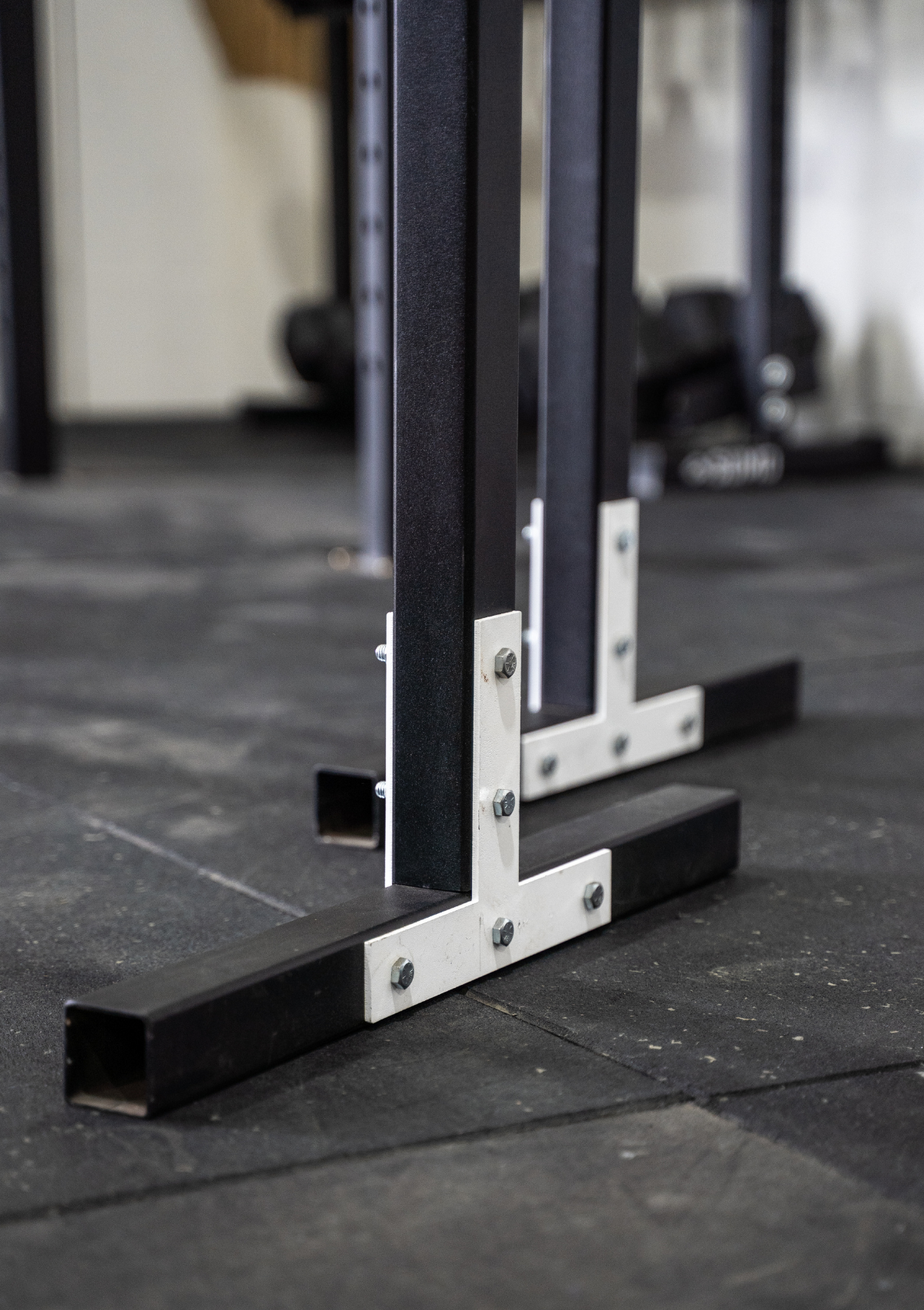 The Home Gym Guys™ Parallel Bars